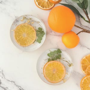 Dried Citrus Resin Coaster Set: Orange Fruit Decor